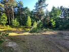 Działka 1000m2 Kazuń-Bielany z MPZP Super Cena !! - 10