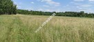 Wyjątkowa Działka rolna do podziału na budowlane! - 3