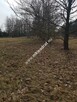 Urokliwa Działka Makówka - 6