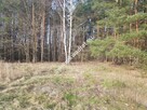 2500 m2 -urocza działka przy lesie z MPZP - 4