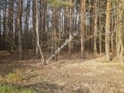 2500 m2 -urocza działka przy lesie z MPZP - 9