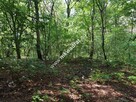 Działka budowlana w otoczeniu lasu - 1