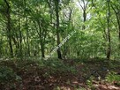 Działka budowlana w otoczeniu lasu - 2