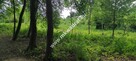Piękna z Bukową Aleją wydane WZ 4 km od Sochaczewa - 7