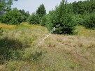 DZIAŁKA BUDOWLANA RUSIEC – blisko las i szkoła - 1