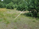 DZIAŁKA BUDOWLANA RUSIEC – blisko las i szkoła - 2