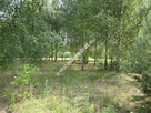 Działka dla inwestora - 1