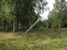Działka dla inwestora - 4