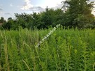 Działka z planem zagospodarowania mkwadrat.eu - 4