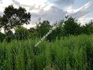 Działka z planem zagospodarowania mkwadrat.eu - 5