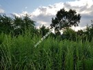 Działka z planem zagospodarowania mkwadrat.eu - 6