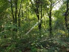 CIEKAWA działka w ścisłym centrum Podkowy L. - 2