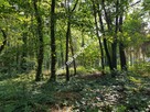 CIEKAWA działka w ścisłym centrum Podkowy L. - 6