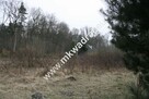 Świetnie zlokalizowana działka do podziału - 1