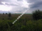 Rewelacja pod inwestycje, blisko A2, dobry kształt - 12
