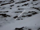 Działka 6450 m2 z domem i halą. - 1
