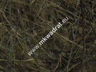 Ciekawa działka inwestycyjna w Pęcicach Małych - 5