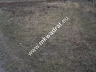Pęcice działka w atrakcyjnym miejscu 10.500 m2 - 1