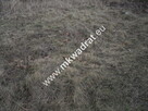Pęcice działka w atrakcyjnym miejscu 10.500 m2 - 9