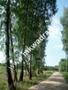 Duża działka budowlana 4 km od Mszczonowa - 4