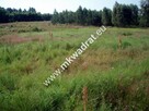 Duża działka budowlana 4 km od Mszczonowa - 9