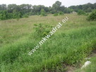 Działka Nowy wilków - 5