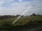 Działka Baranów - 13