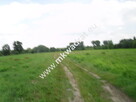 Działka Strzeniówka - 4