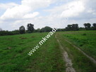 Działka Strzeniówka - 7
