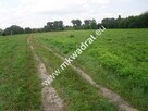 Działka Strzeniówka - 8