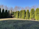 Dom wolnostojący, dwulokalowy z 2 garażami. - 5