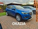 Opel Grandland X Automat Bezwypadkowy Idealny - 1