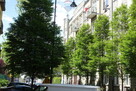 3-pokojowe mieszkanie na parterze - 1