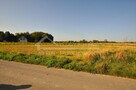 Działka budowlana Radawiec Mały gm. Konopnica, Radawiec Mały - 9