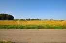 Działka budowlana Radawiec Mały gm. Konopnica, Radawiec Mały - 12