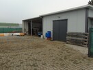 Dom Jednrodzinny , zaplecze ogrodnicze pow 4980m2 - 14