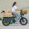 FIIDO T2 2025 elektryczny transportowy 20Ah 250W do 140km - 7