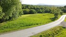 Sprzedam działkę budowlano-rolną Borzęta - 1
