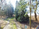 Działka rolna Radom, Marglowa - 4