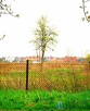 Działka budowlana Radom, Lubelska - 3