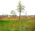 Działka budowlana Radom, Lubelska - 5