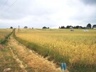 Działka inwestycyjna Józefów-Pociecha gm. Jastków, - 4