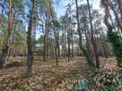 Działka budowlana Józefów, - 10