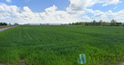 Działka usługowa Sokołów gm. Michałowice, Rodzinna - 1