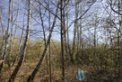Działka budowlana Wołomin, - 5