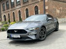 Ford Mustang 2,3 EcoBoost Niski przebieg Bogate wyposażenie - 2
