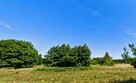 Działka nad morzem, blisko lasu - 2