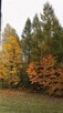 Wynajem pokoi, wypoczynek + natura + nauka - 9