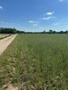 Sprzedam działki budowlane - 5