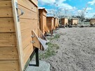 Chętnej osoby do prac pasiecznych - 2